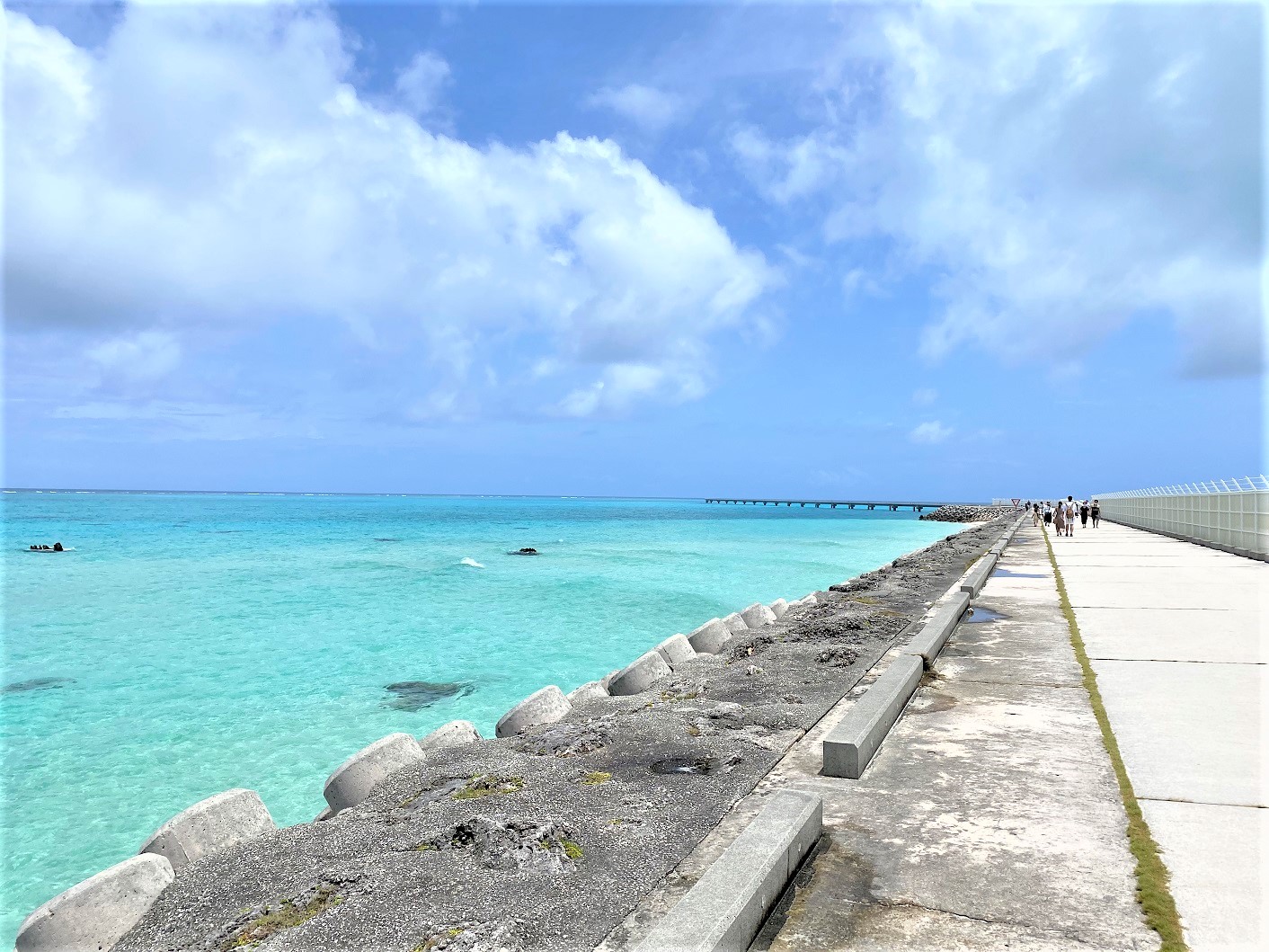 ANA陸マイラー的国内旅行に無料で行く方法！ANAダイナミックパッケージなら全額マイルで支払える！ |  糖質制限ダイエットとか陸マイラーとかいろいろやってみた